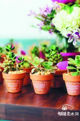 借婚礼创意助花卉节日营销 礼品花卉销售新思路