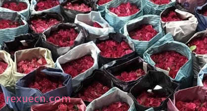 玫瑰价格飙升，曼谷清迈花卉市场面临挑战