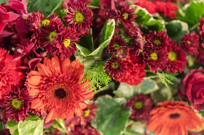黄玫瑰之韵 婚礼与节庆花卉营销的艺术