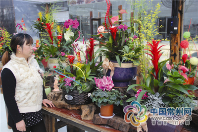 花艺大咖教你用花朵添“年味”，玩出礼品花卉新花样