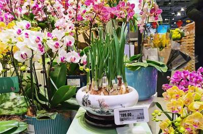 长宁各大商圈红红火火迎新春，礼品花卉销售火爆显年味